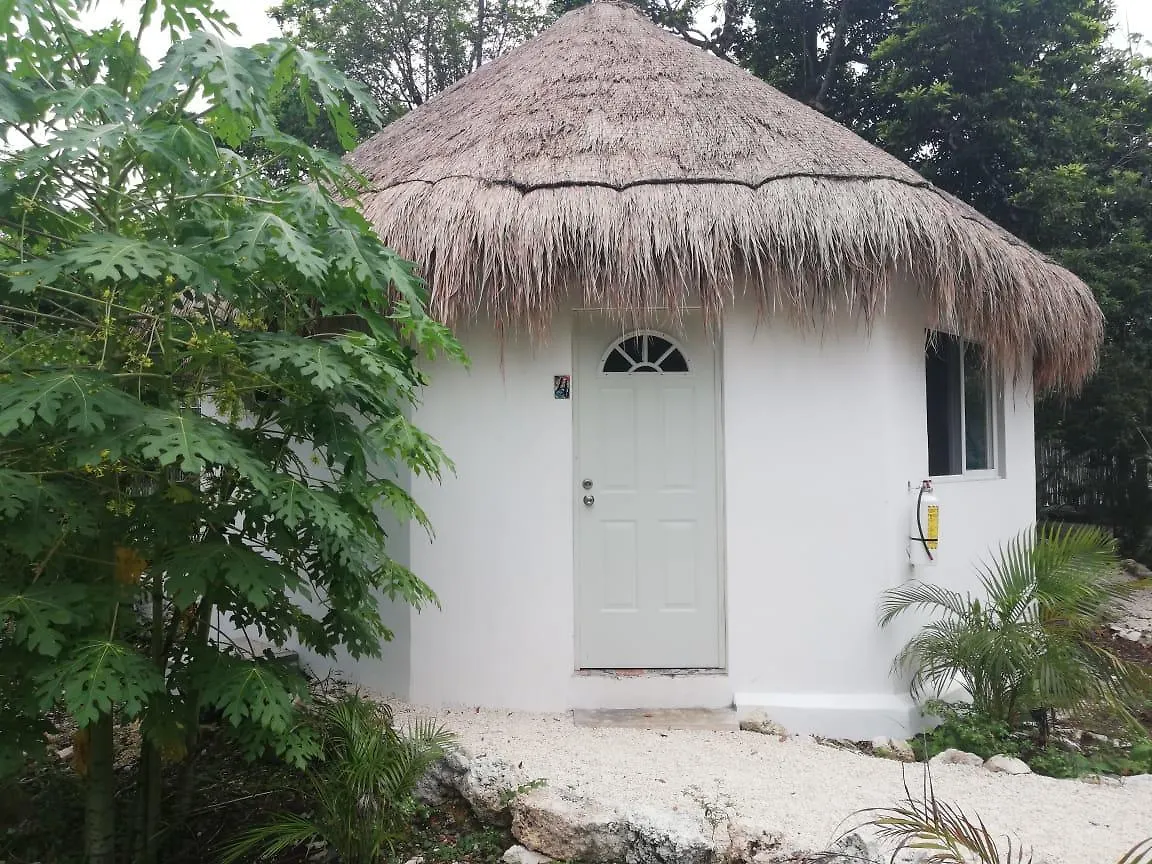 Maya Pax Hotel Tulum